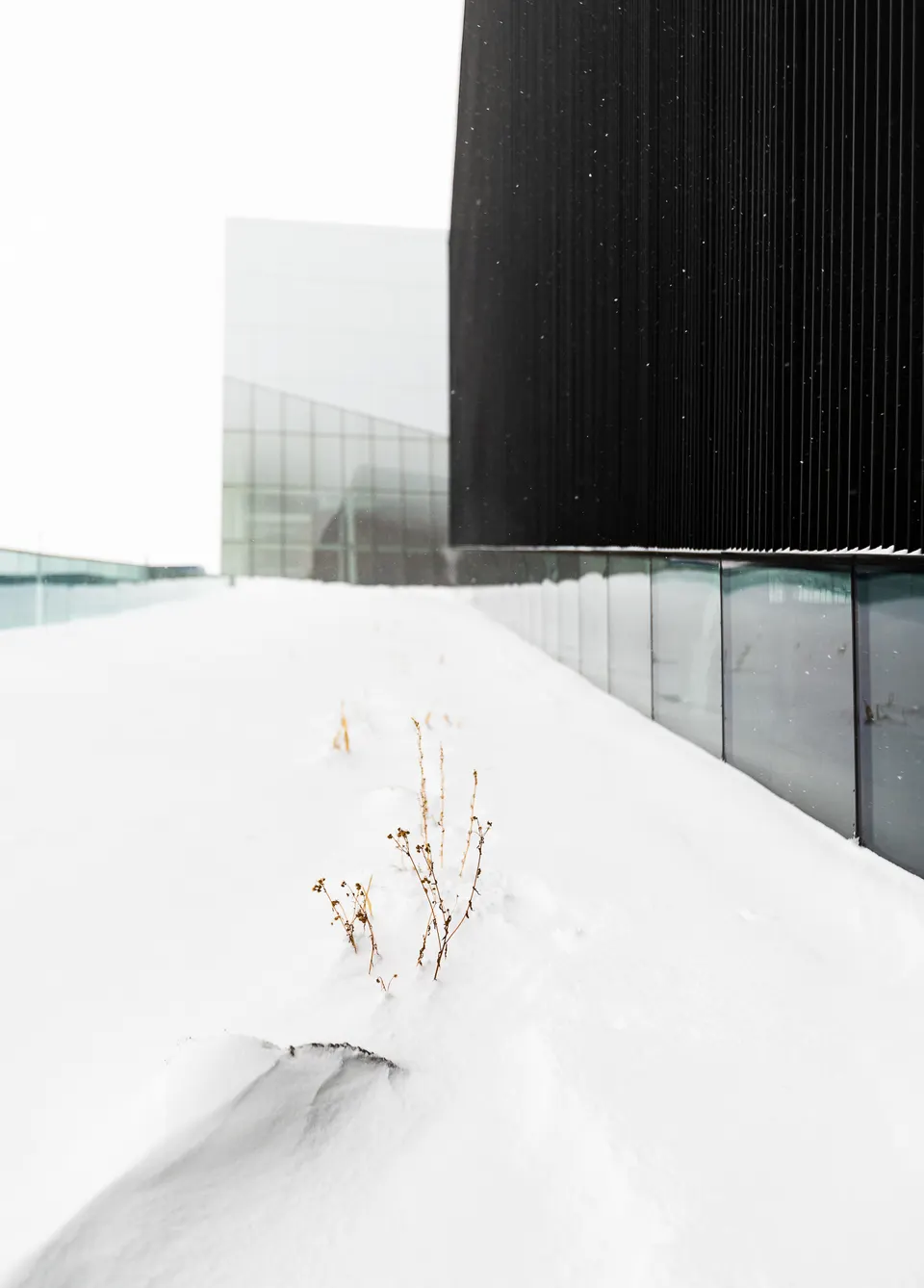 Complexe sportif de Saint-Laurent – détail – Saucier + Perrotte Architectes / Hughes Condon Marler Architects