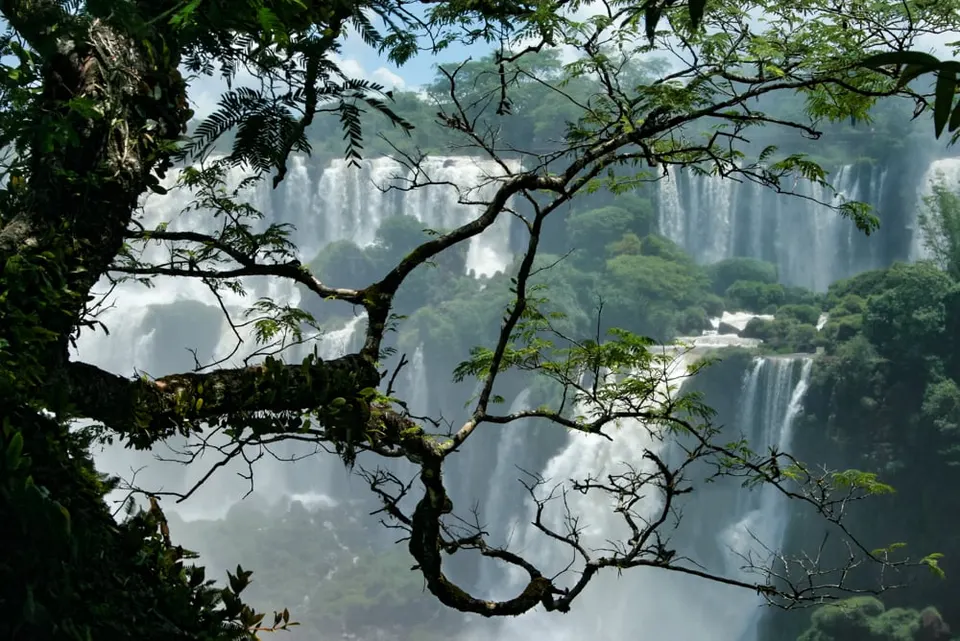 Iguazu