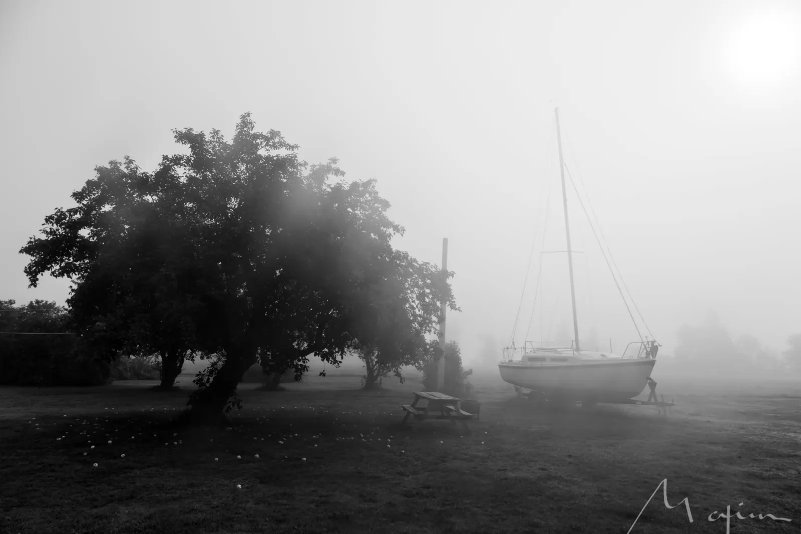 Sunrise at the campsite, New Brunswick