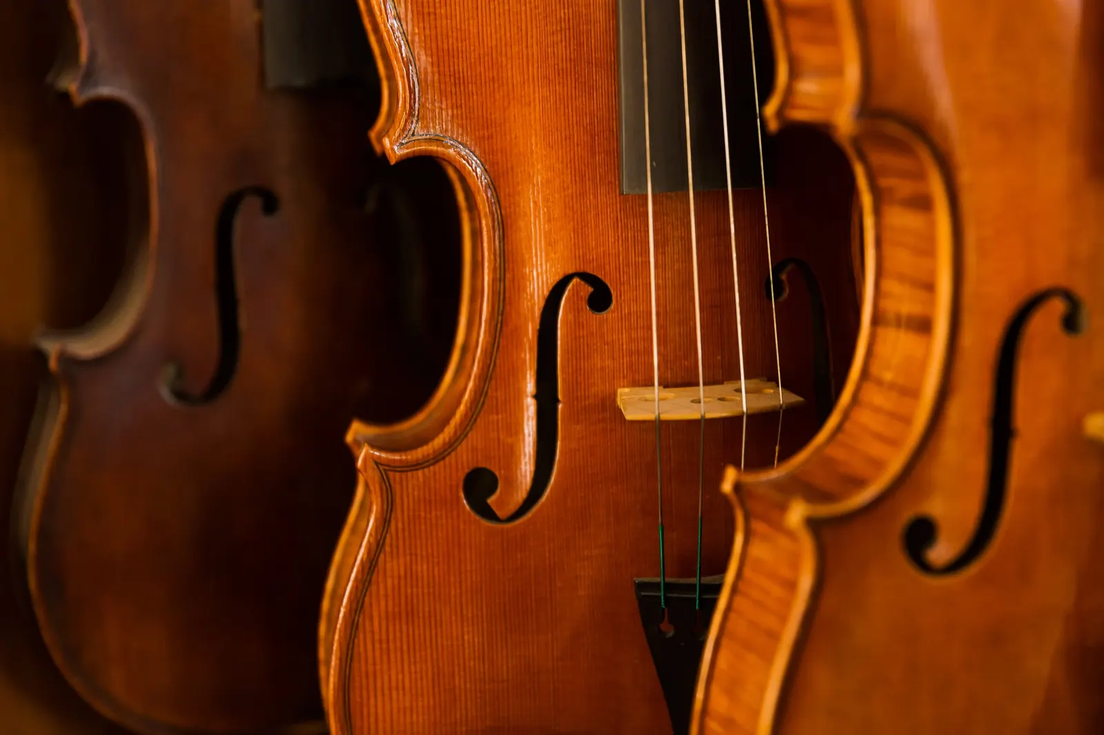 Photoreportage – atelier de la luthier Isabelle Wilbaux (1/8)