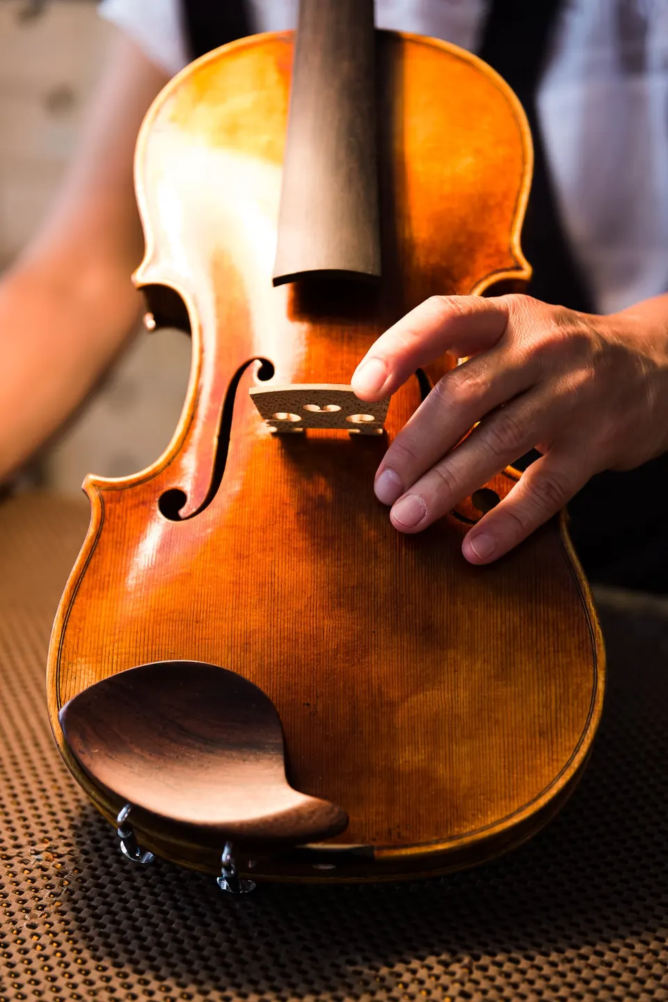 Photoreportage – atelier de la luthier Isabelle Wilbaux (3/8)