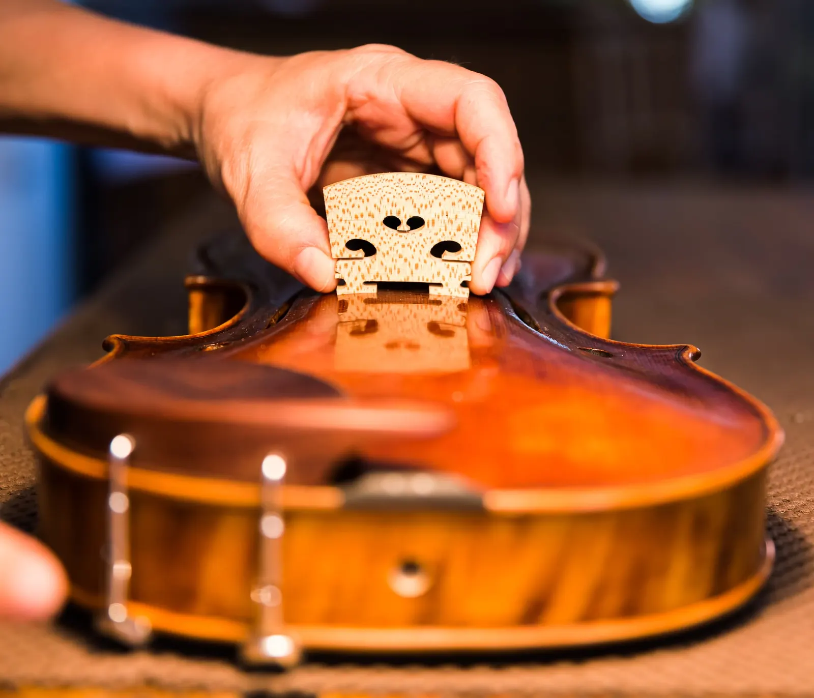 Photoreportage – atelier de la luthier Isabelle Wilbaux (5/8)