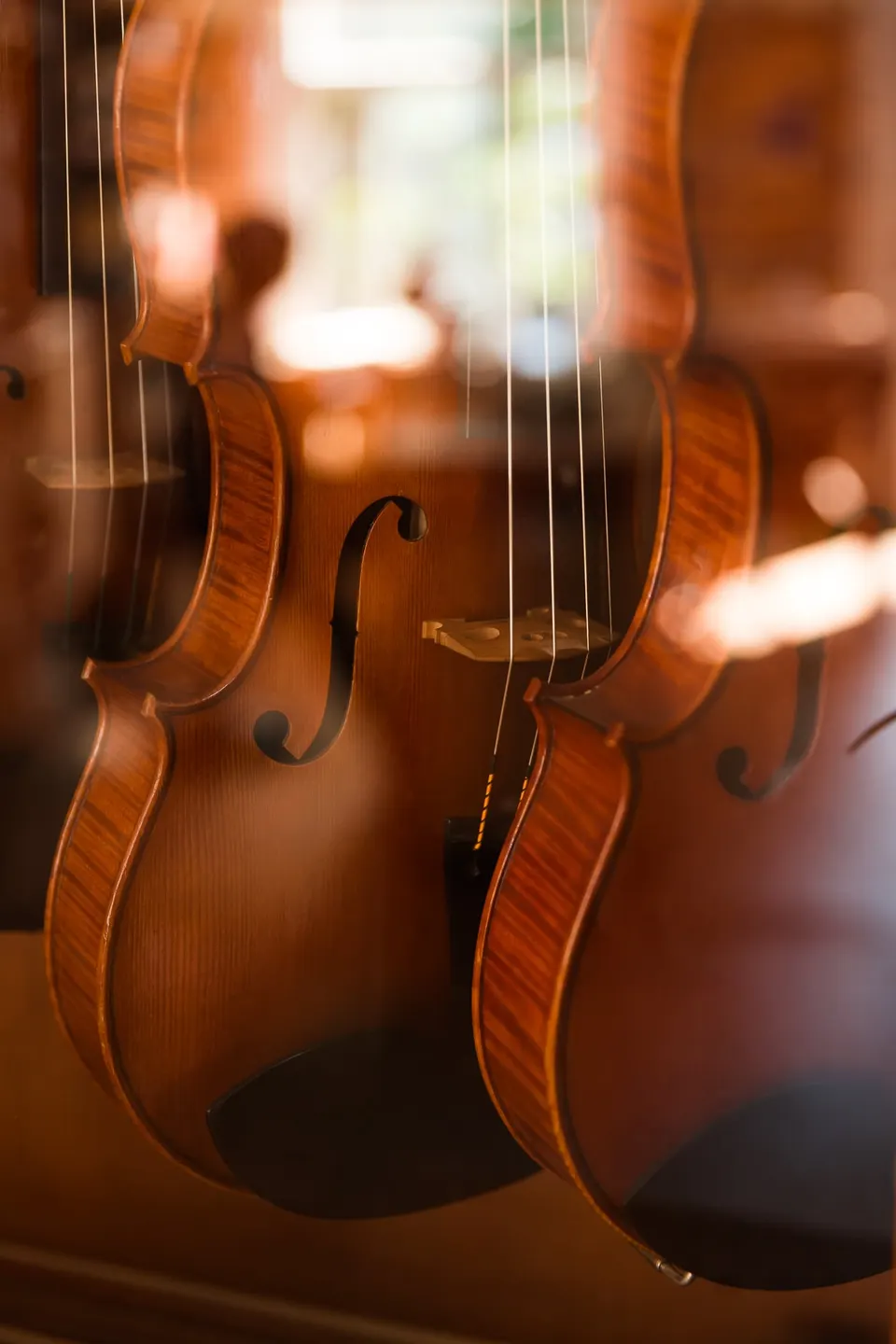 Photoreportage – atelier de la luthier Isabelle Wilbaux (8/8)