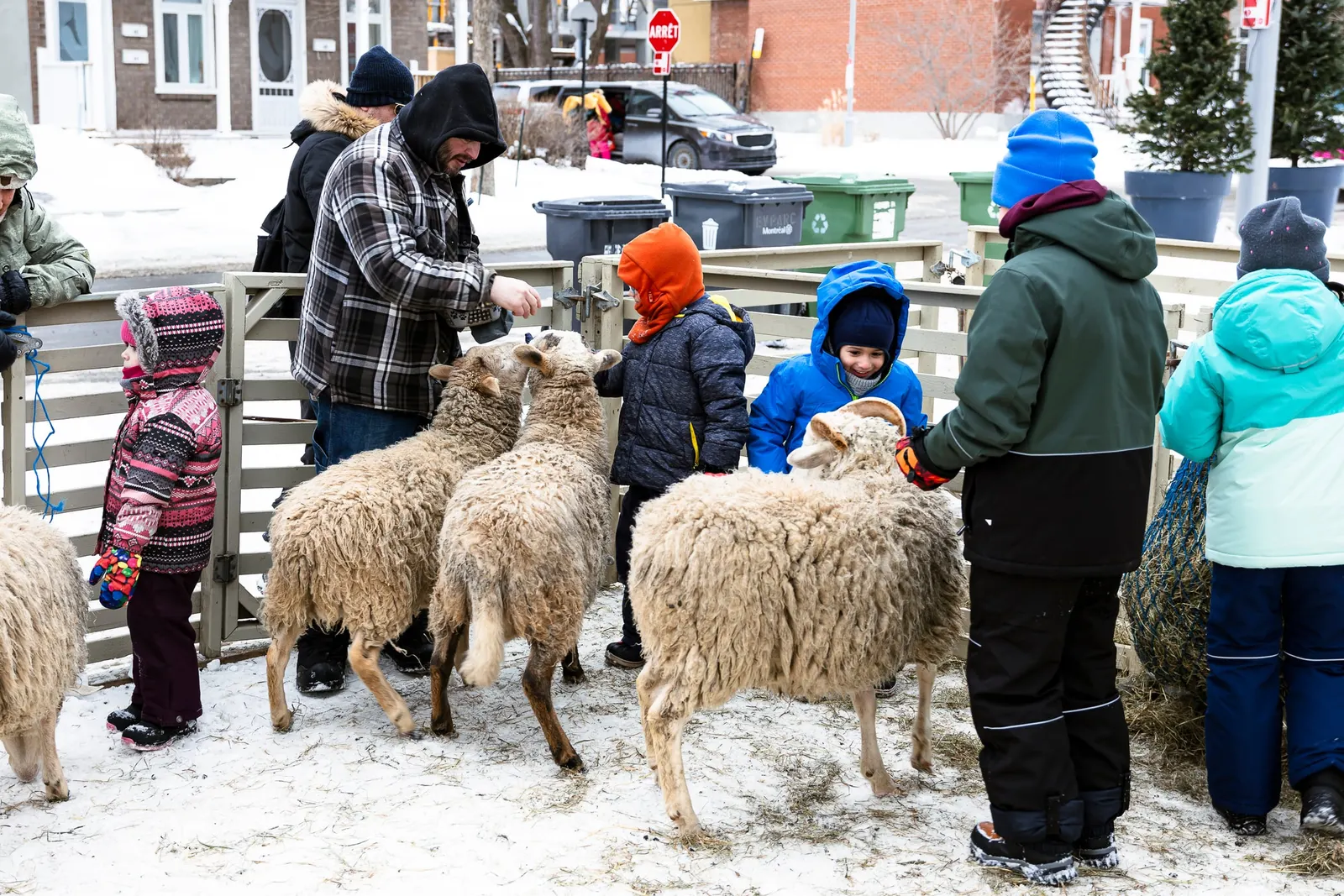 Arrondissement de Rivière-des-Prairies—Pointe-aux-Trembles - Plaisirs d'hiver (2/11)