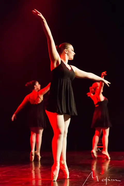 Spectacle de danse Collège Notre-Dame (2/9)