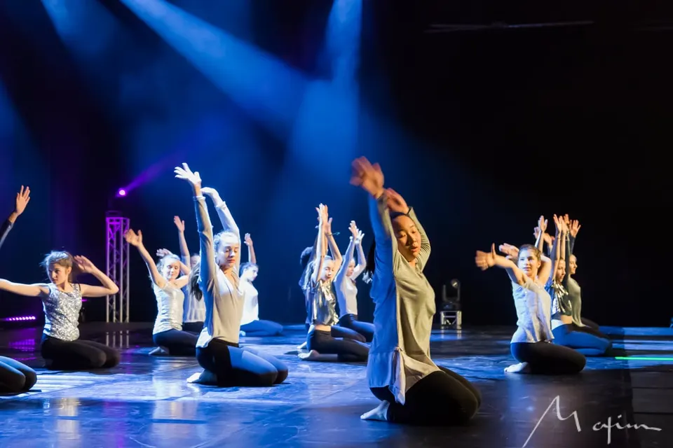 Spectacle de danse Collège Notre-Dame (8/9)