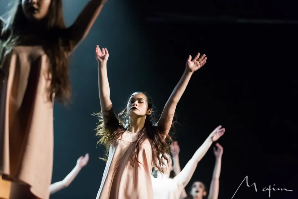 Spectacle de danse Collège Notre-Dame (9/9)